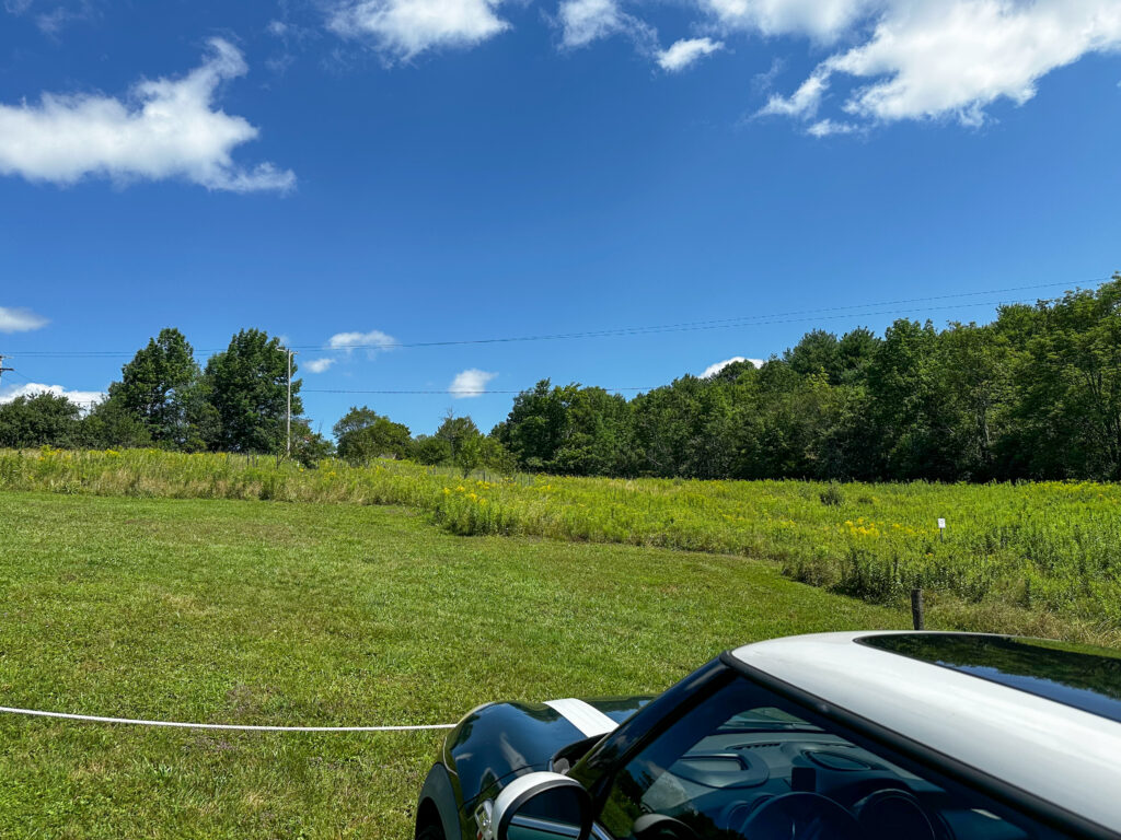 A view from the parking lot at Weiss Ferments. A wide blue sky with whispy clouds. A green grass field with tall grasses around it and trees in the near distance. You can also see the top of my Mini Cooper in the bottom right of the frame.